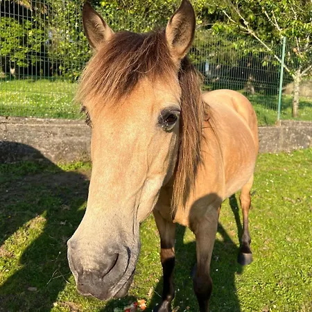 Casa Camiño Do Eume