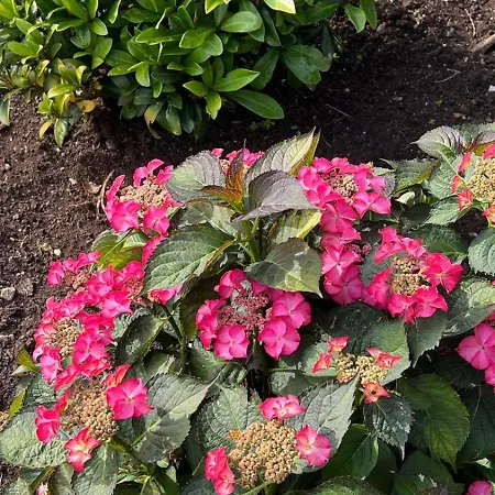 Landhaus Casa Camino Do Eume