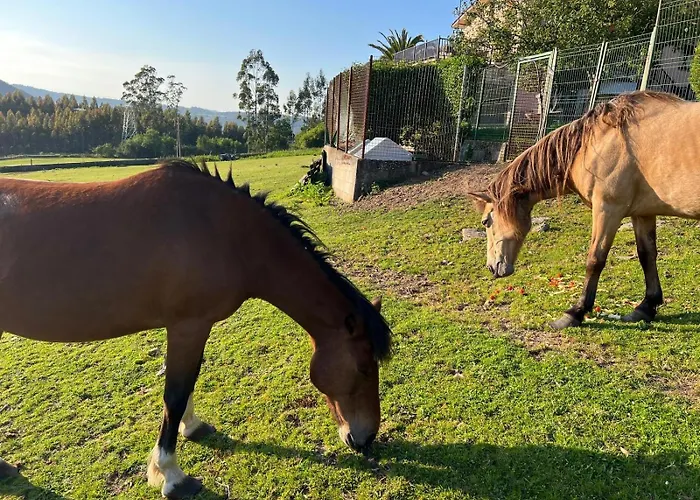 Casa Camiño Do Eume A Coruña
