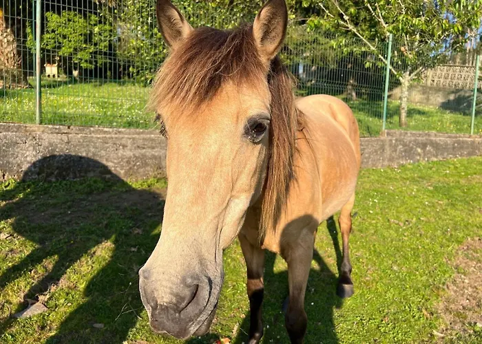 Casa Camiño Do Eume
