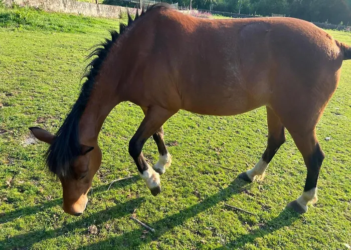 Casa rural Casa Camiño Do Eume A Coruña