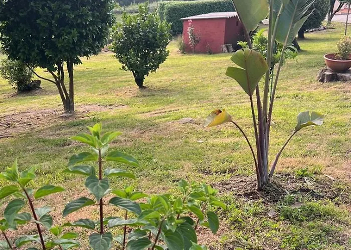 Casa Camiño Do Eume Casa rural