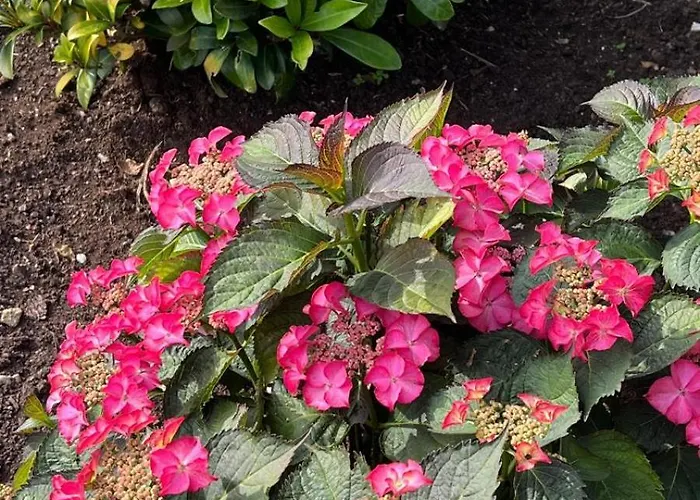 Casa rural Casa Camiño Do Eume